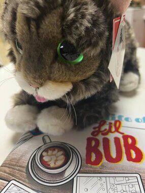 Lil Bub cat + coloring book + crayons stuffed Toy Like New with tags collectable